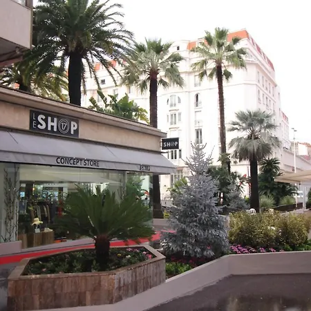 Cannes Conseil Immo, Grand Studio Terrasse Gray D'Albion Area -Four-